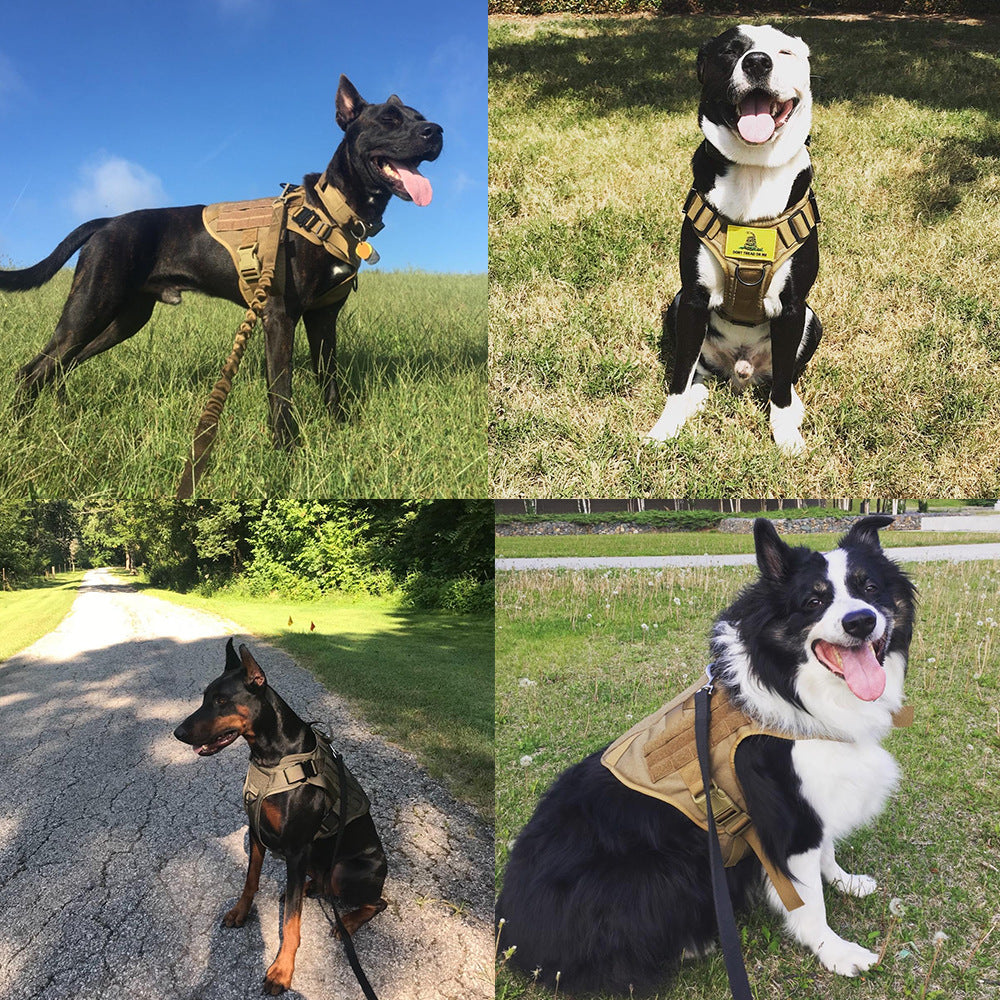 Military Tactical Dog Harness-Adjustable Pet Dog Back