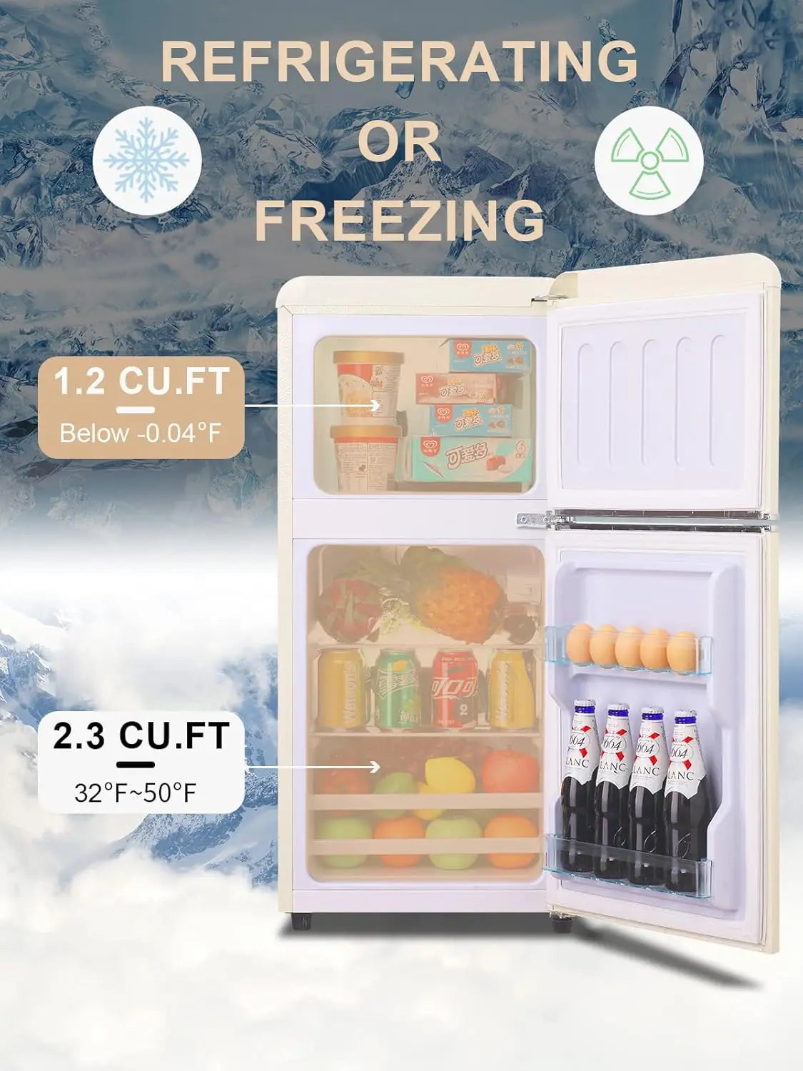 Mini Fridge with Freezer
