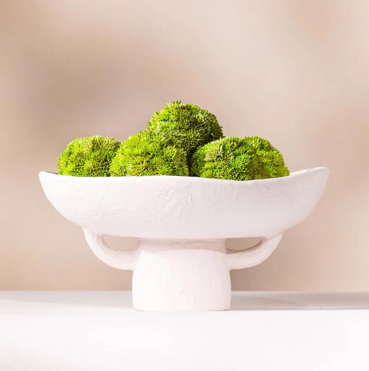Textured Ceramic Bowl with Succulent Moss Balls