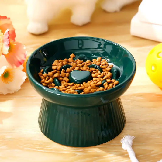 Slow Feeder Ceramic Food Bowl