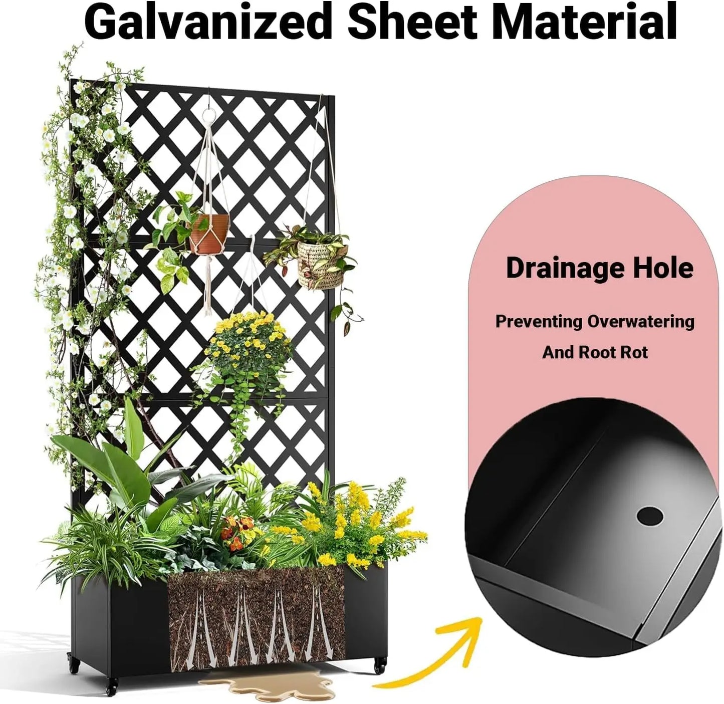 Privacy Planter Box with Trellis