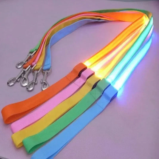 LED Flashing Leash